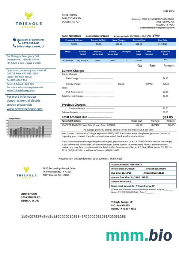 USA Texas TriEagle rachunek za media szablon w formacie Word i PDF